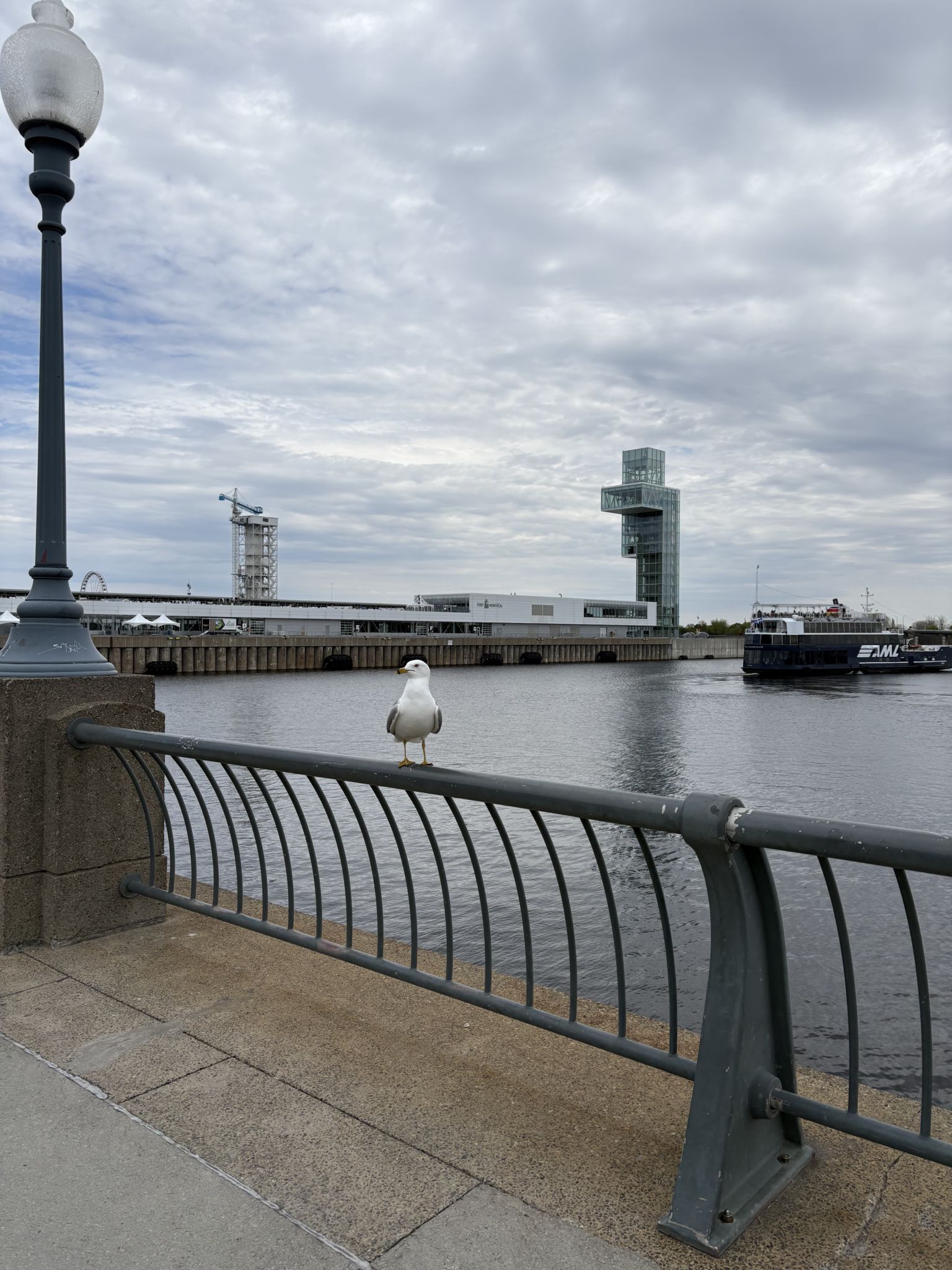 Old Port