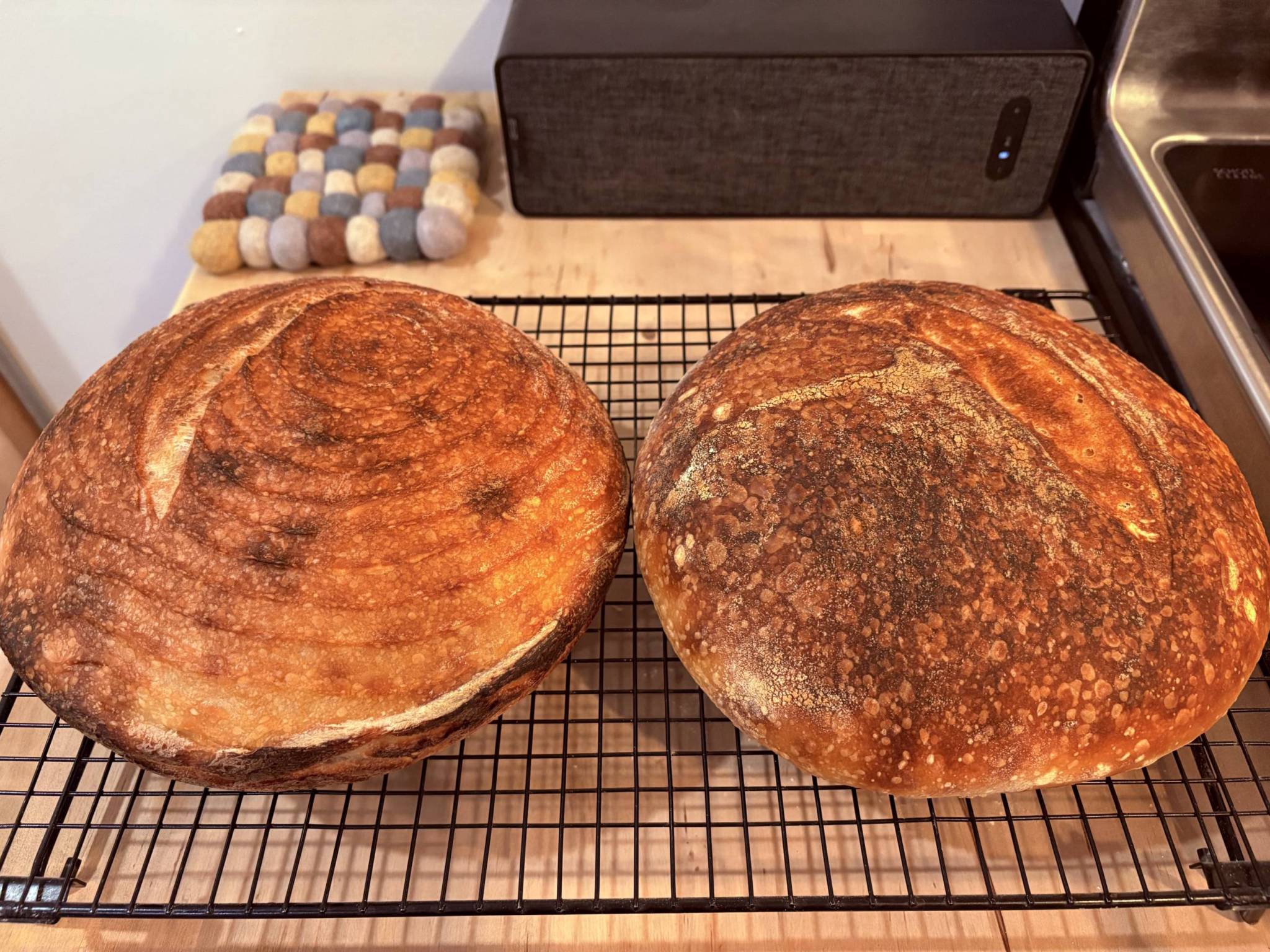 Sourdough