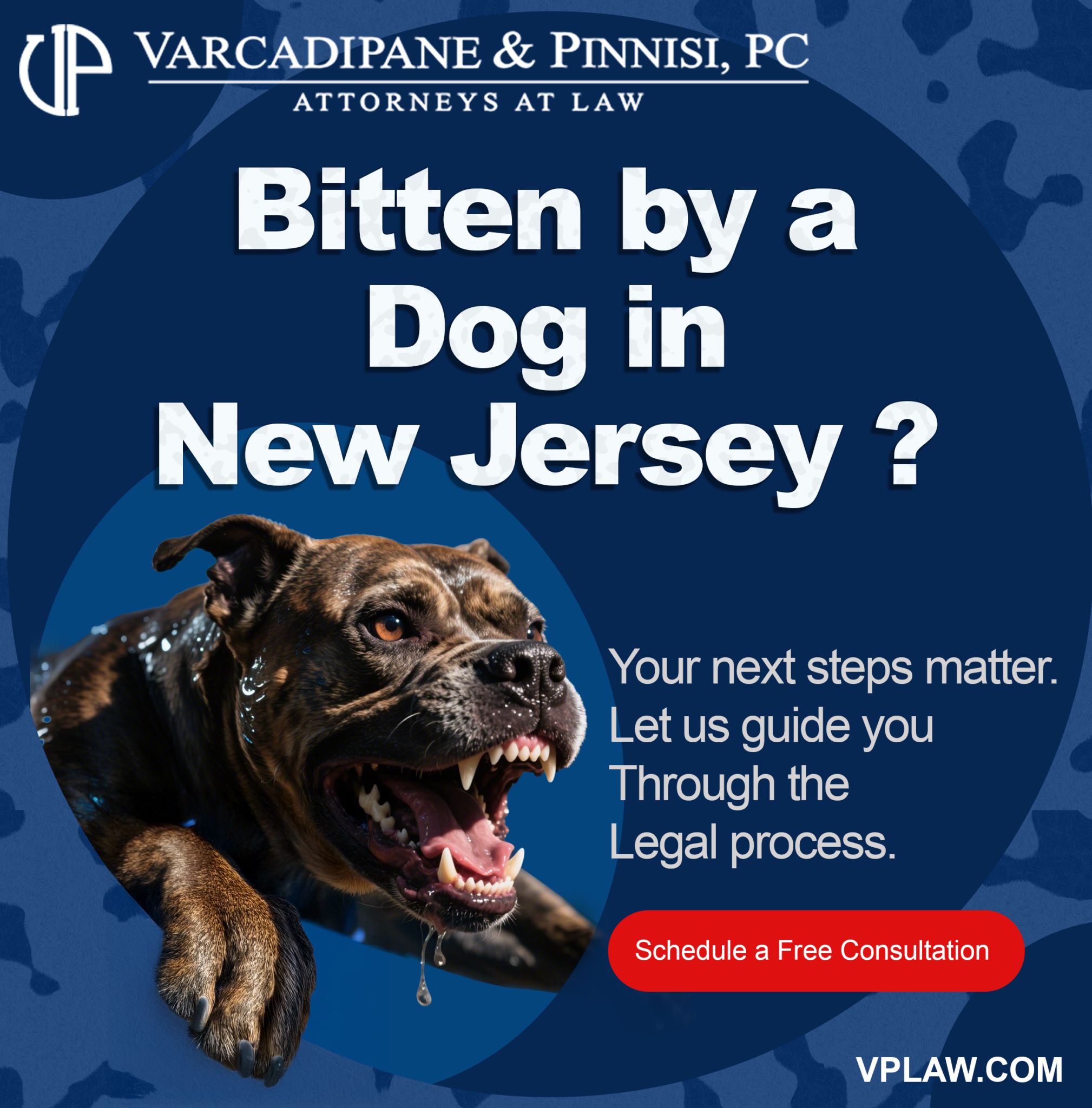 dog bite lawyer new jersey