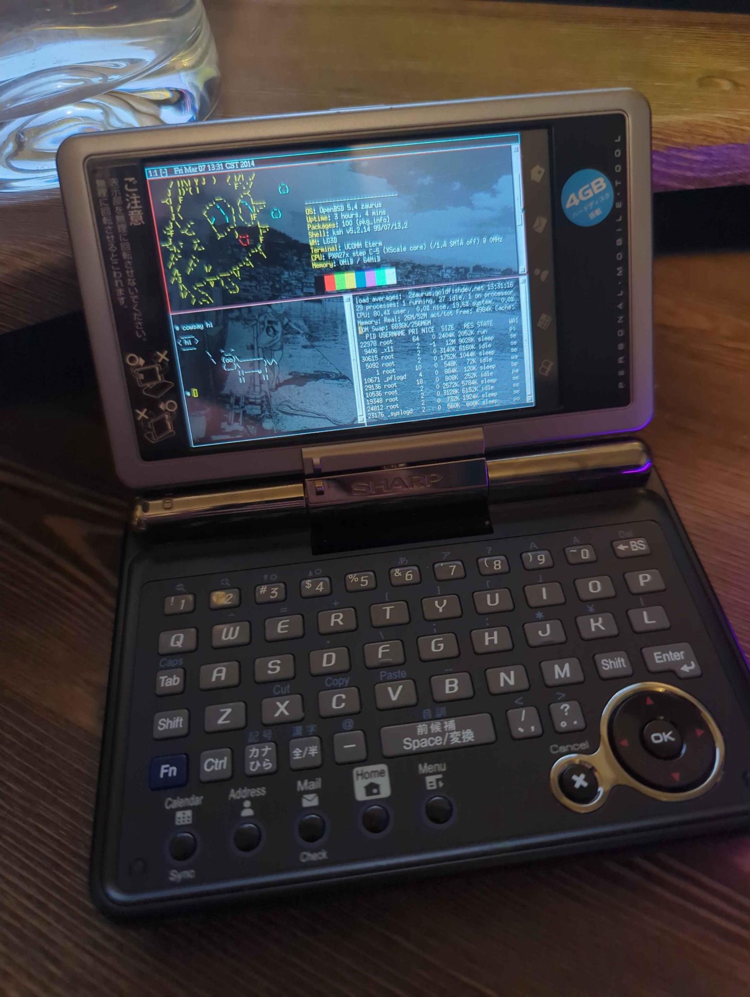 OpenBSD on a Sharp Zaurus SL-C3100 PDA running spectrwm.