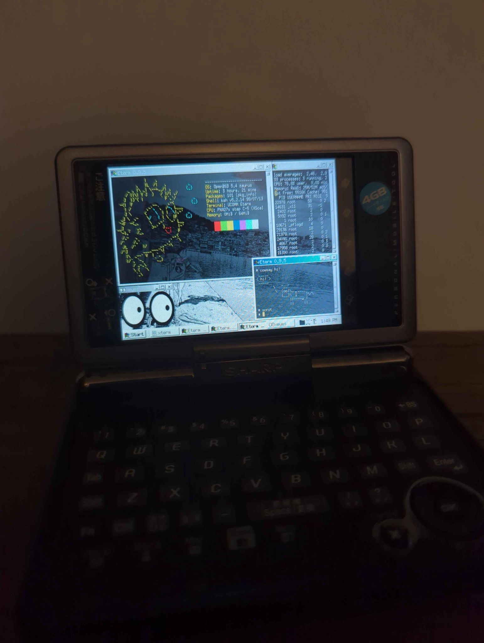 OpenBSD on a Sharp Zaurus SL-C3100 PDA running qvwm.