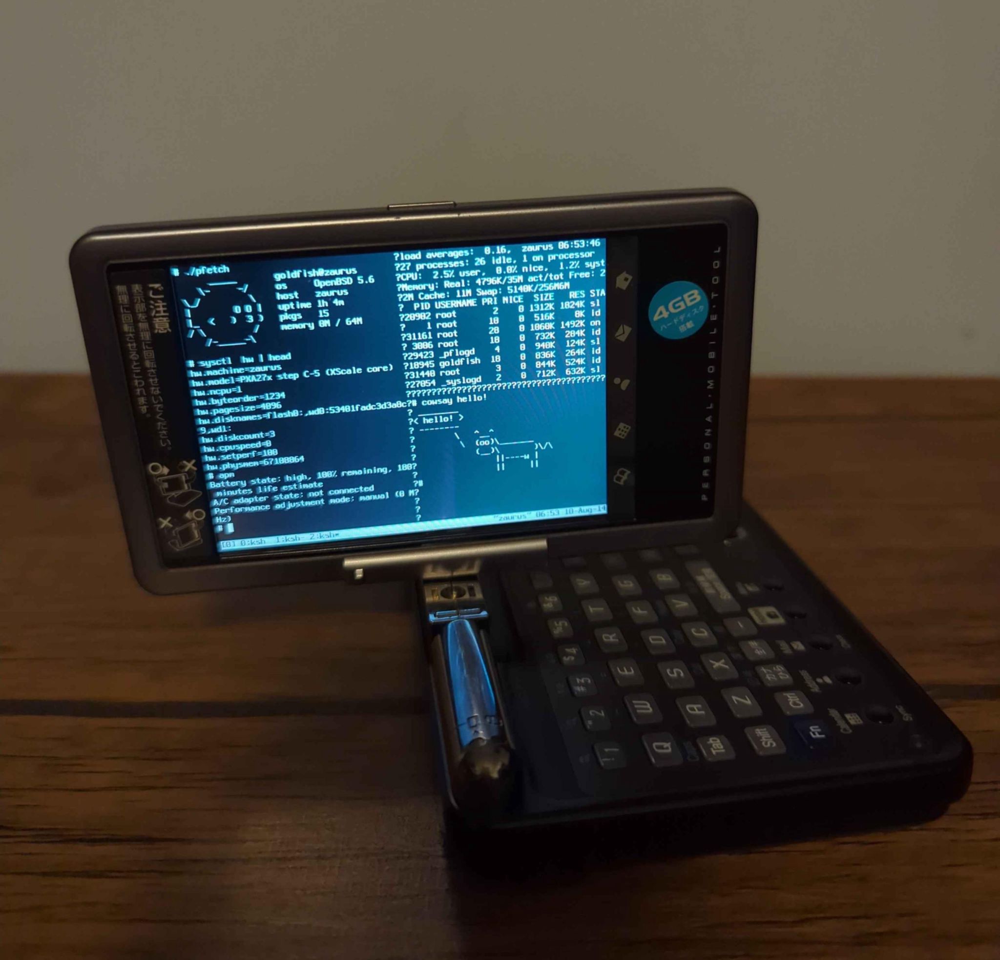 OpenBSD on a Sharp Zaurus SL-C3100 PDA running tmux.