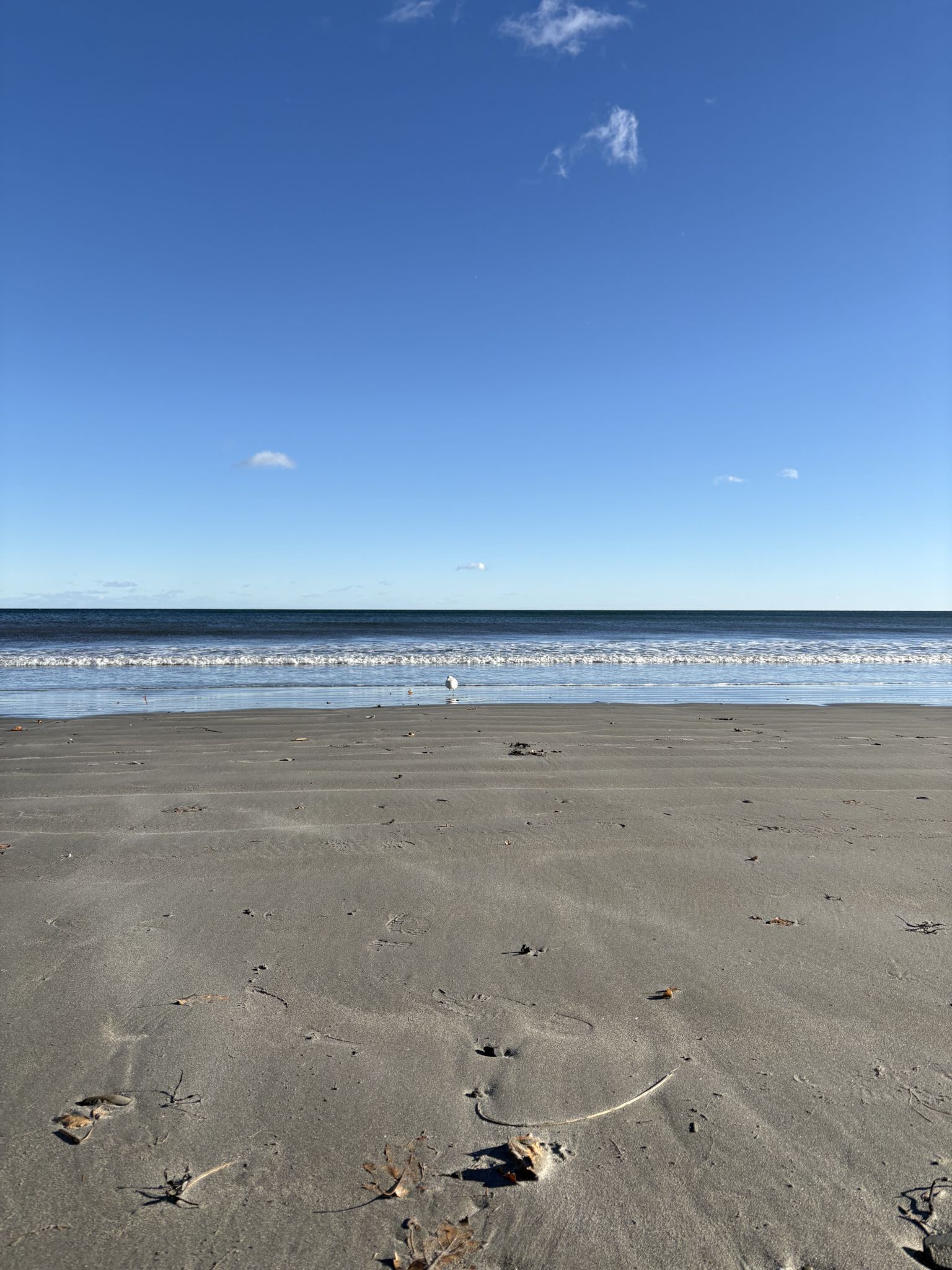 Jenness State Beach