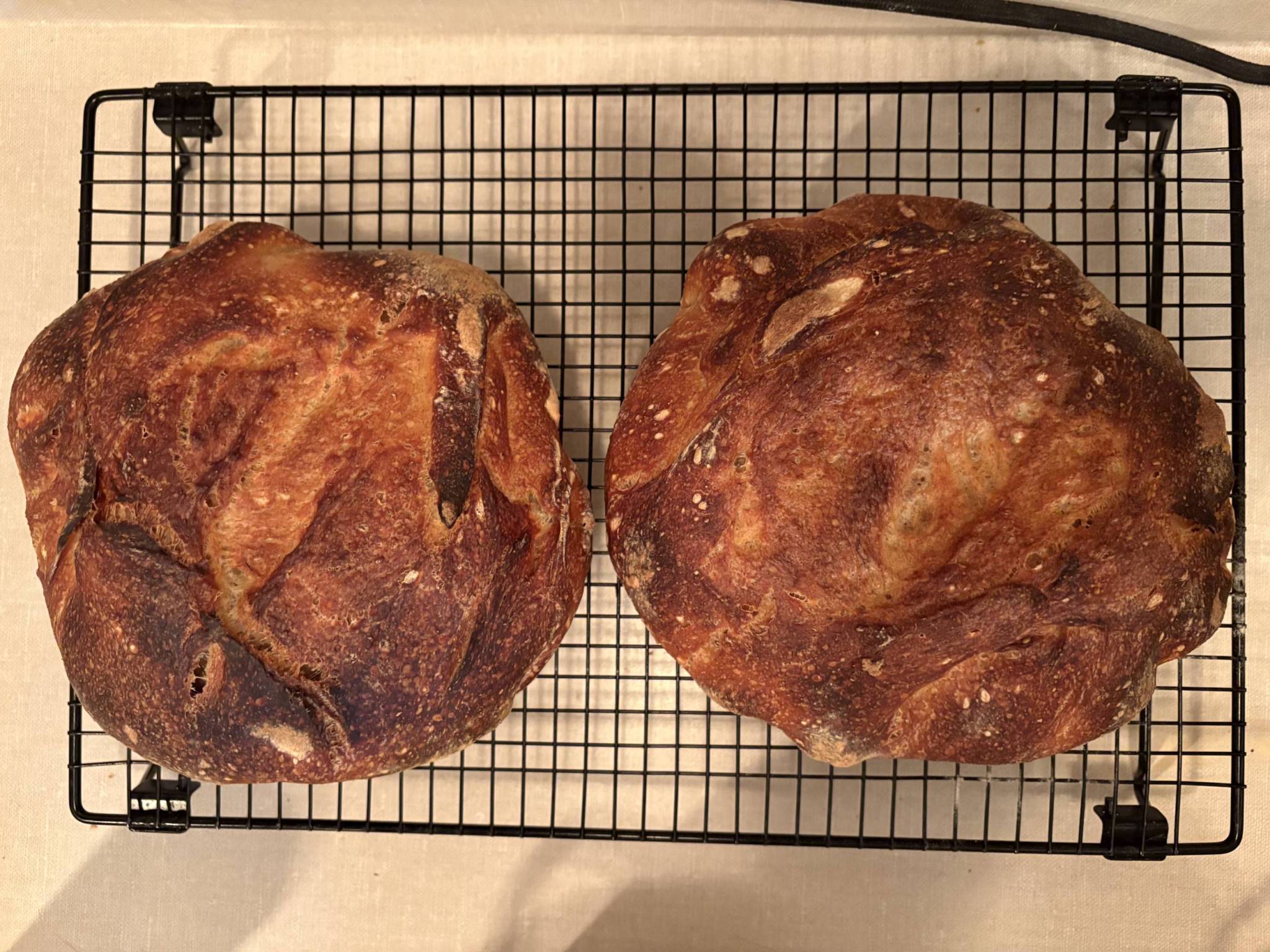 Homemade sourdough bread