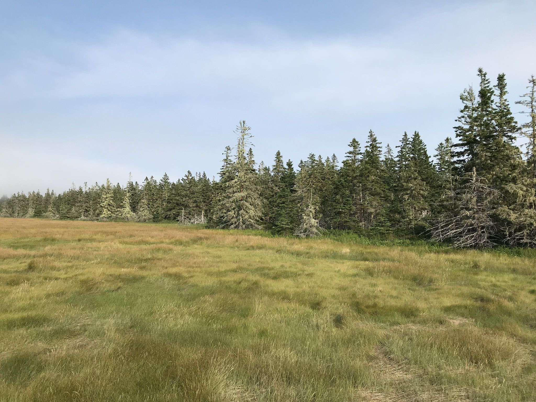 Rissers Beach Provincial Park