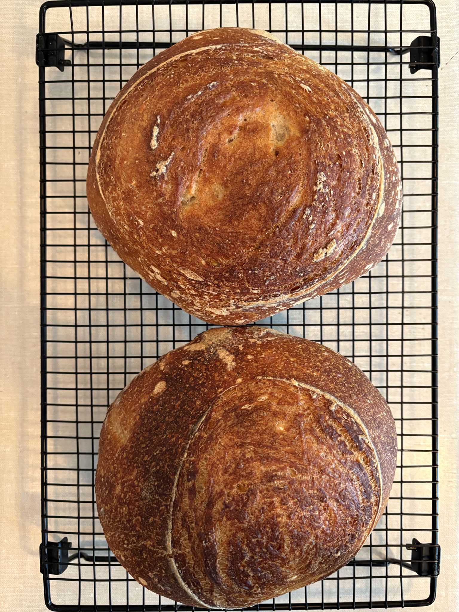 Sourdough Bread