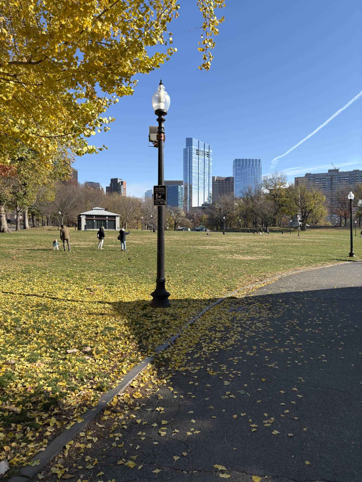 Boston Common