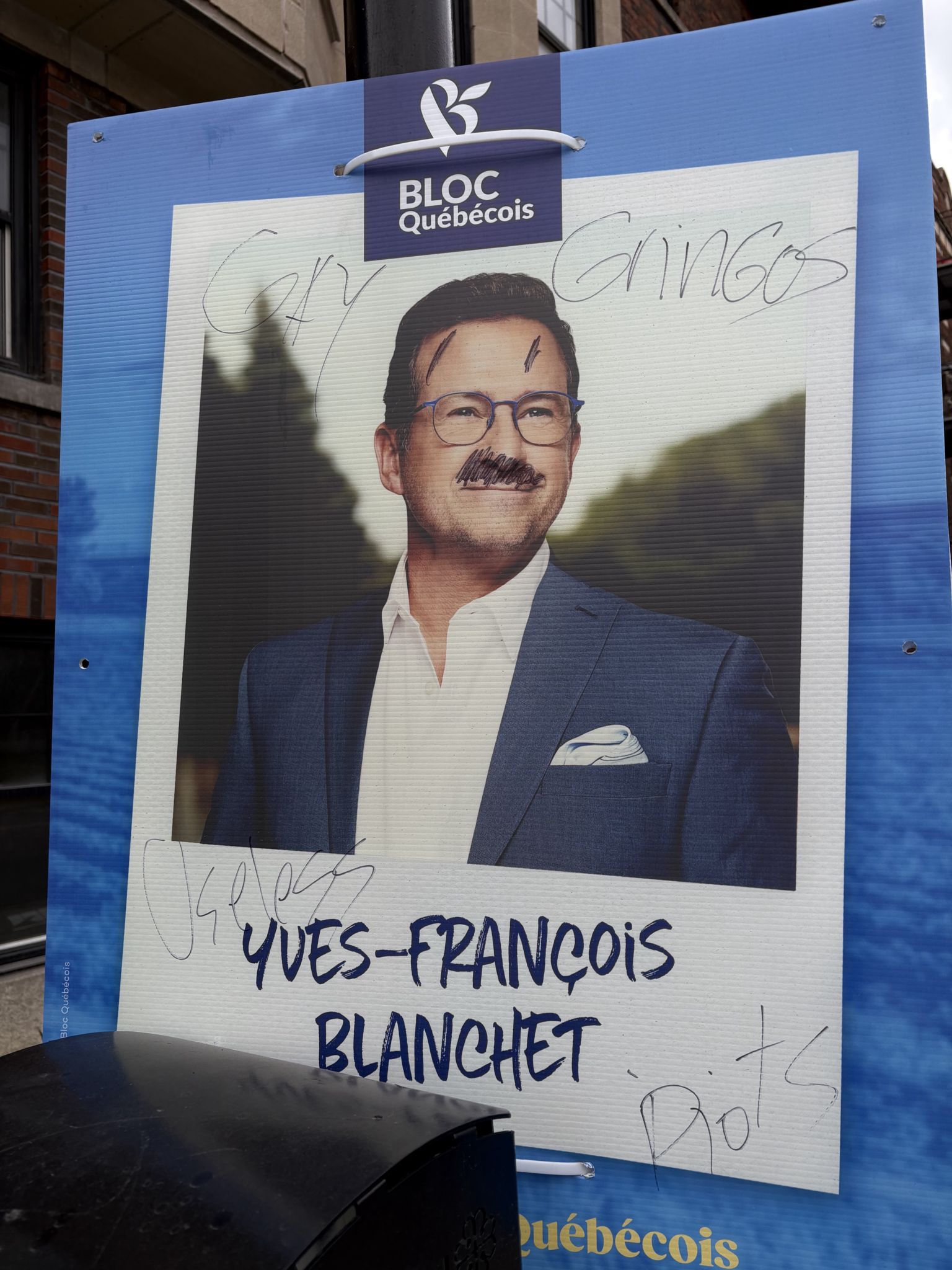 Immigrants defacing native politicians’ election ads with profanity
