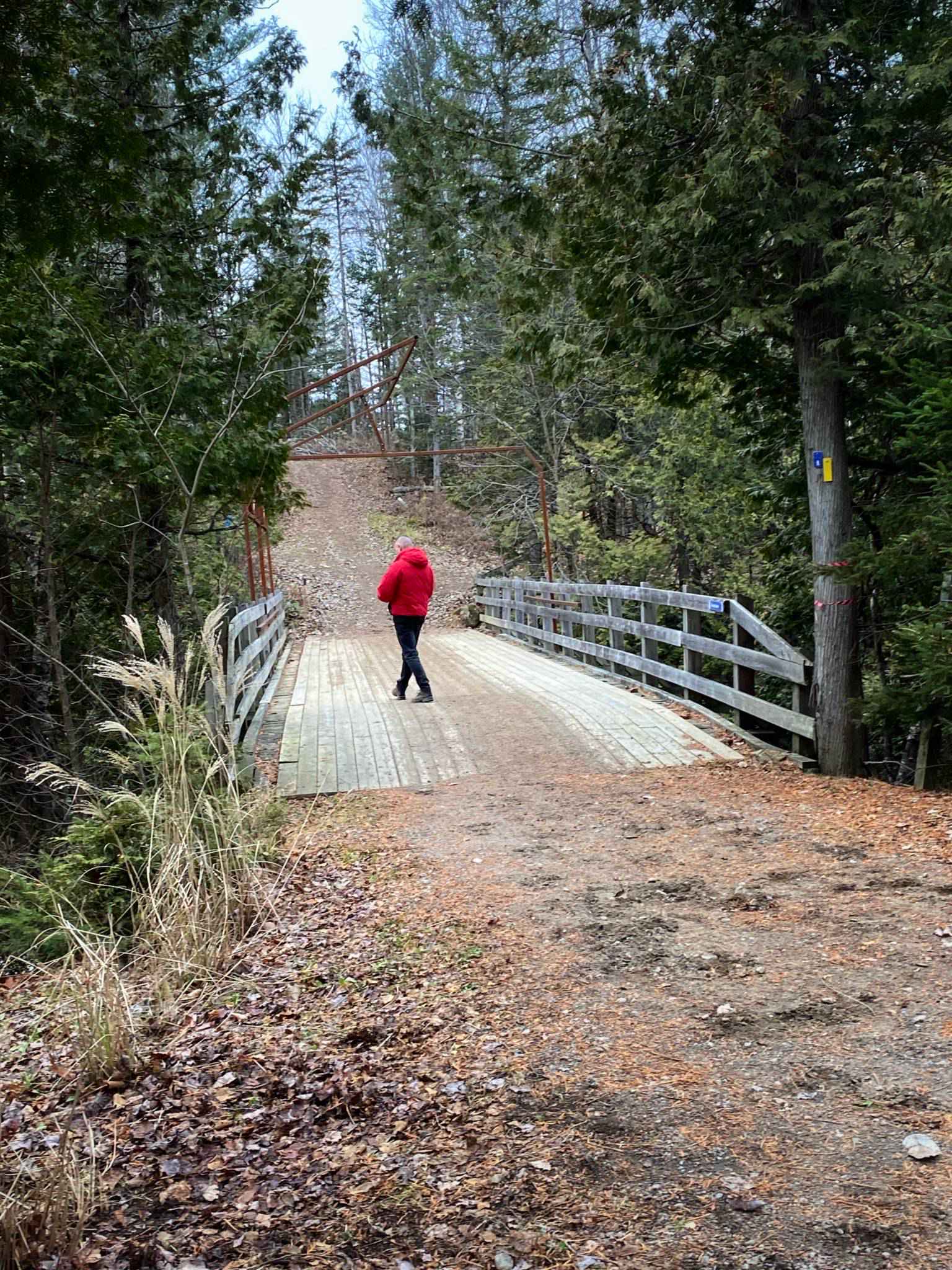 The Explorer