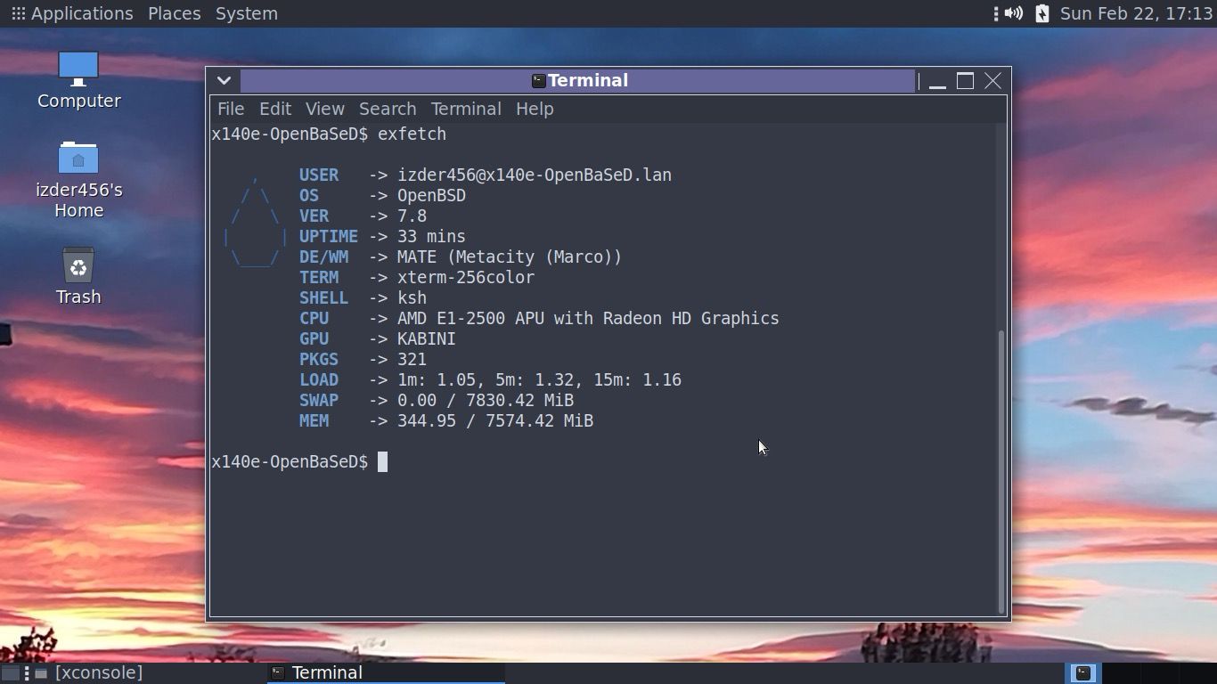 The mate desktop environment running with default panel layout, arc gtk theme. There is a terminal window in the center of the screen showing the output of a system fetch utility called "exfetch". Background is a sunset sky.
